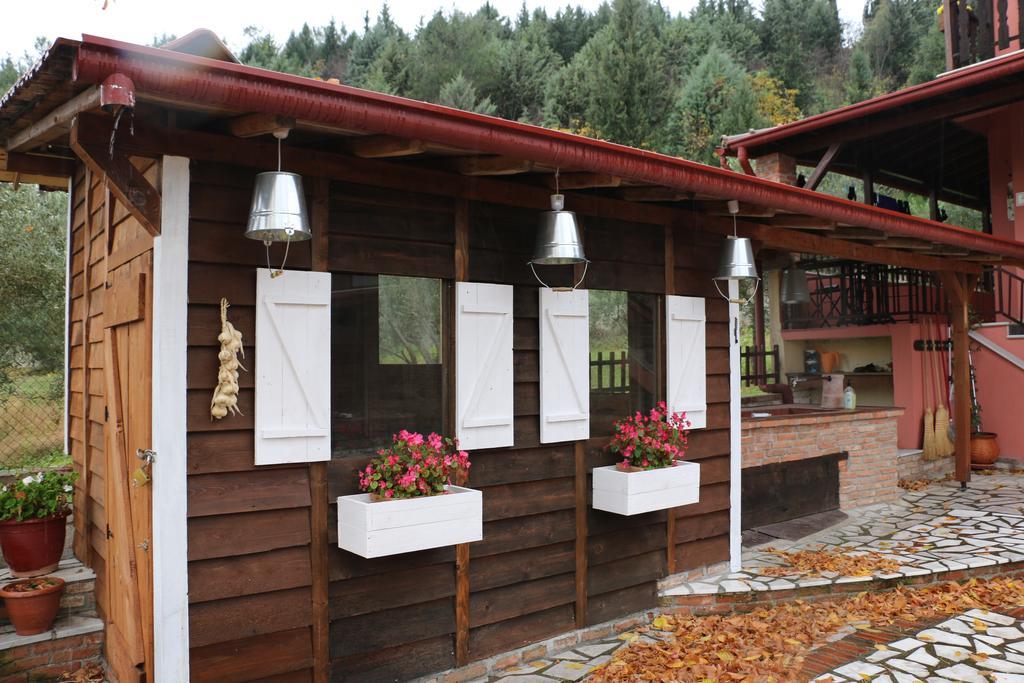 Traditional Guesthouse Трикала Экстерьер фото