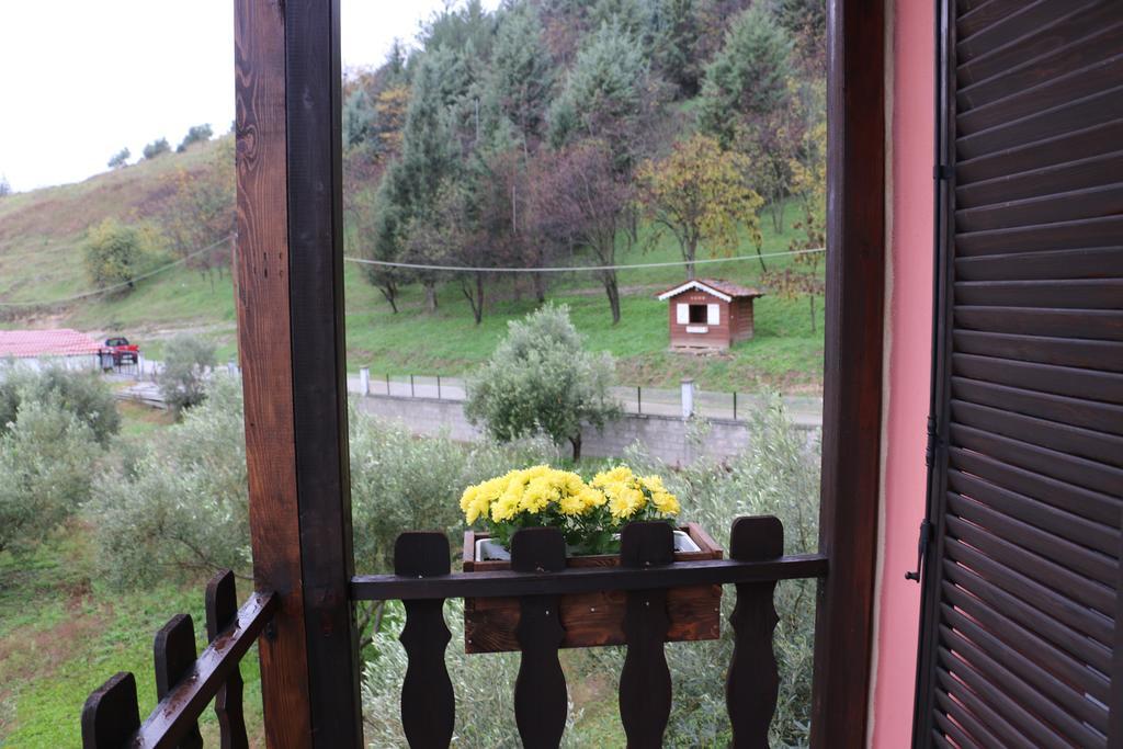 Traditional Guesthouse Трикала Экстерьер фото