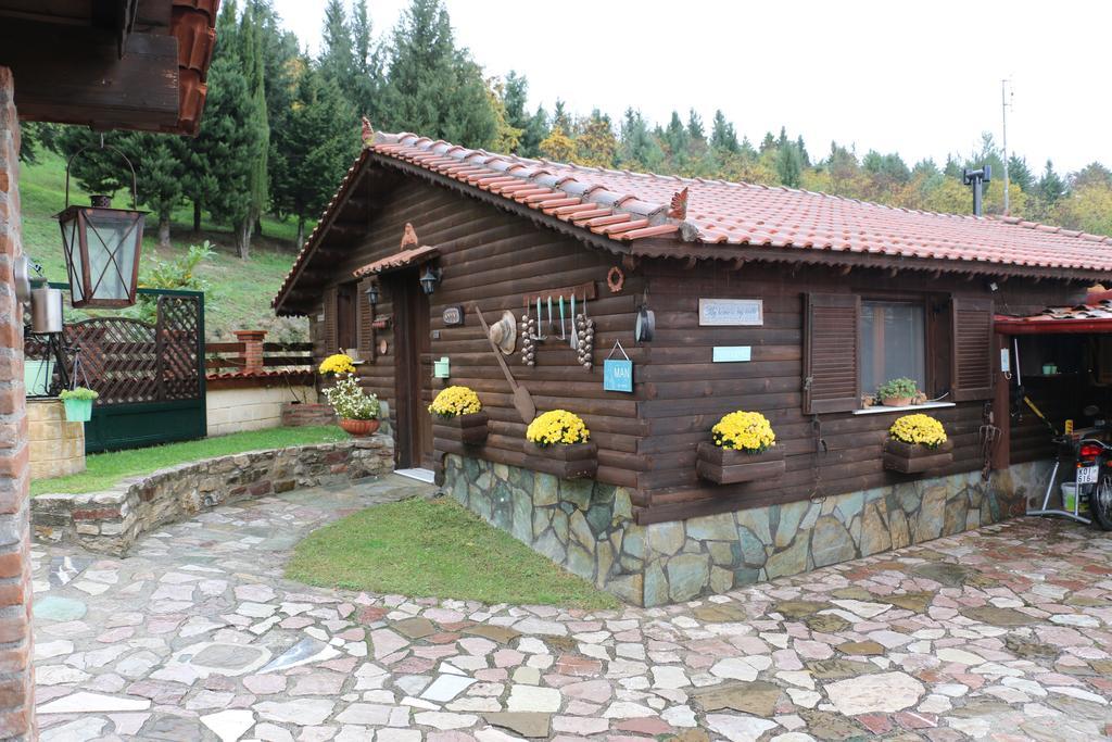 Traditional Guesthouse Трикала Экстерьер фото